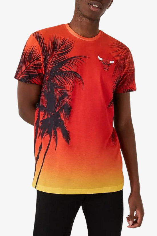 T-Shirt Maniche Corte Summer City Chicago Bulls-new era-Rosso-Uomo-12720095-
