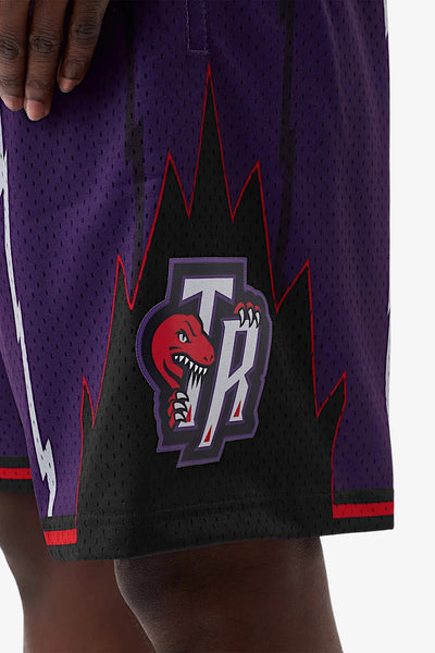 mitchell&ness Shorts Swingman Toronto Raptors Viola Uomo, foto 2
