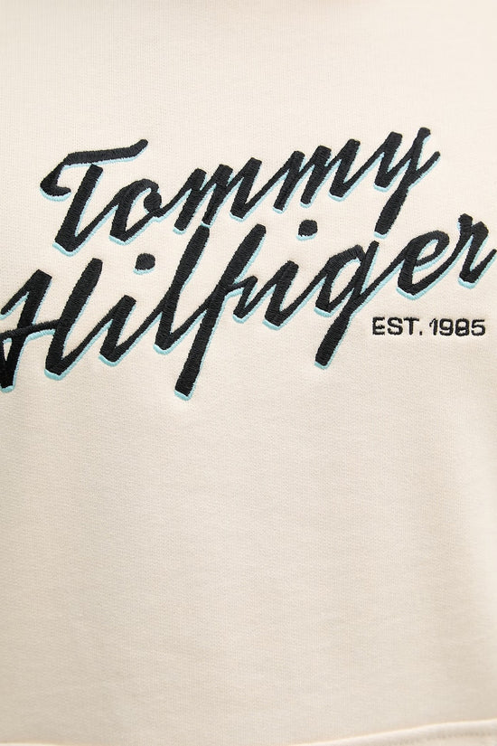  Felpa Con Cappuccio Logo Script Ricamato-tommy hilfiger-Beige-Special_-Mw0mw42496 acj-3  