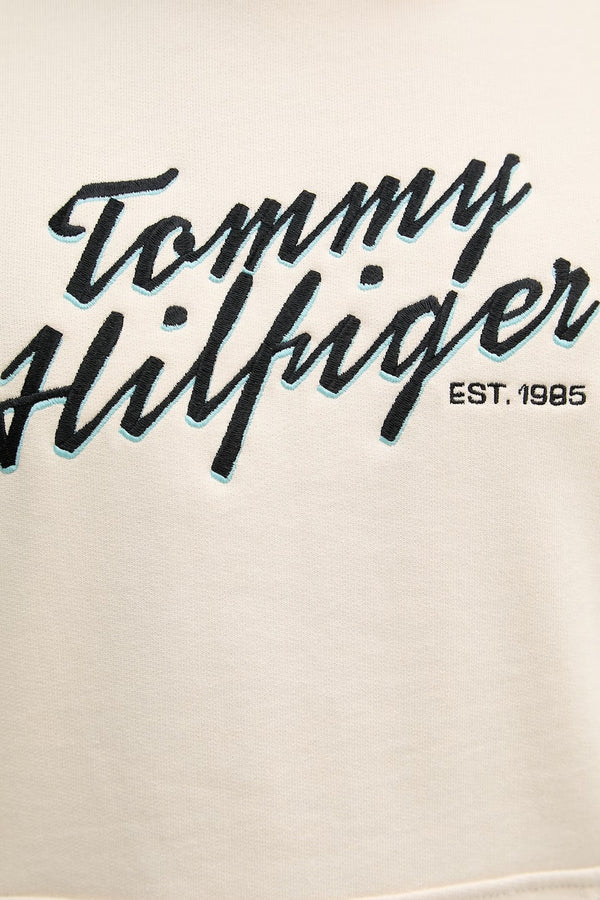 tommy hilfiger Felpa Con Cappuccio Logo Script Ricamato Beige Uomo, foto 3