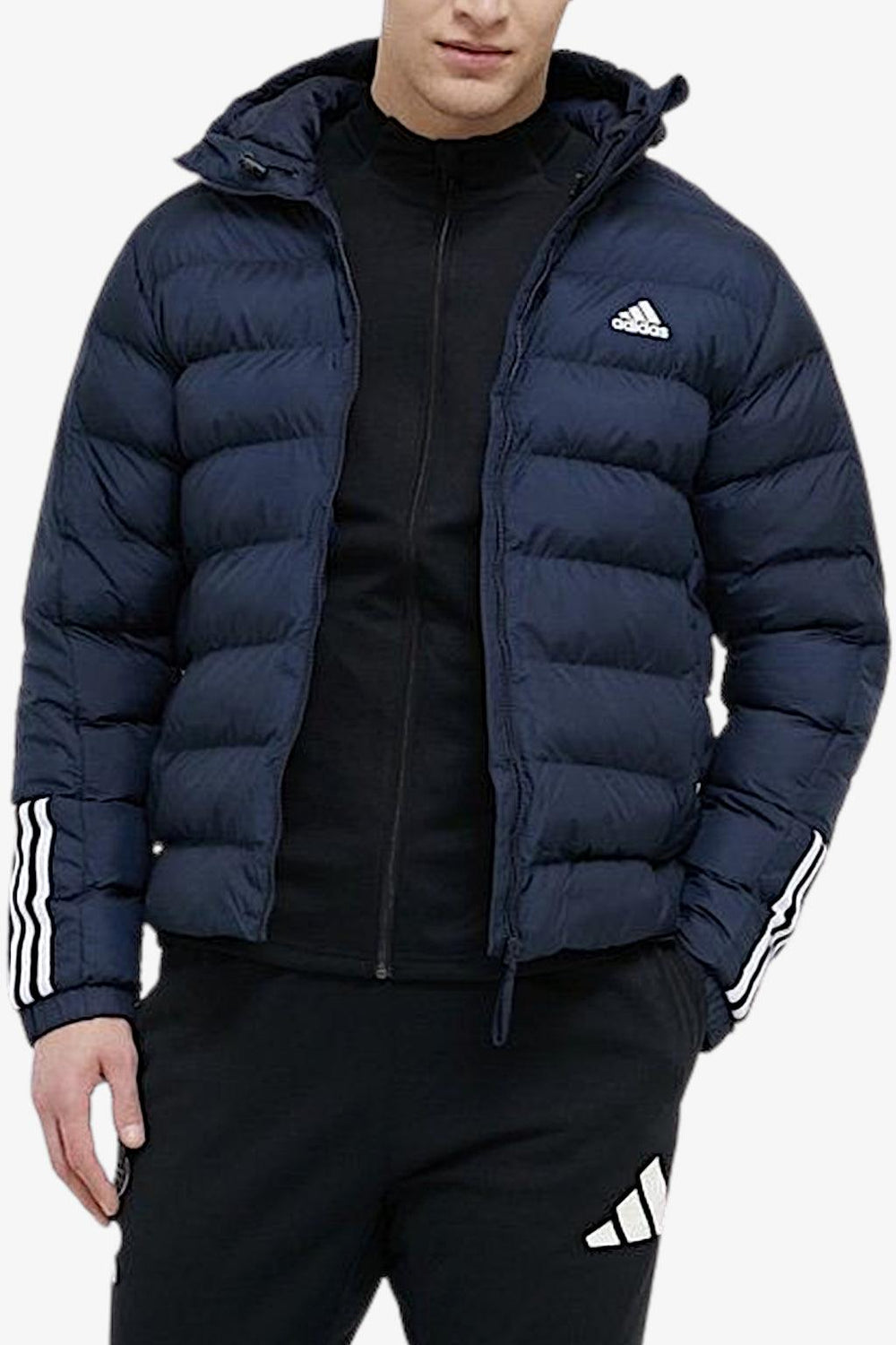 Adidas Uomo Adidas Piumini Adidas Originals Piumini Adidas Uomo